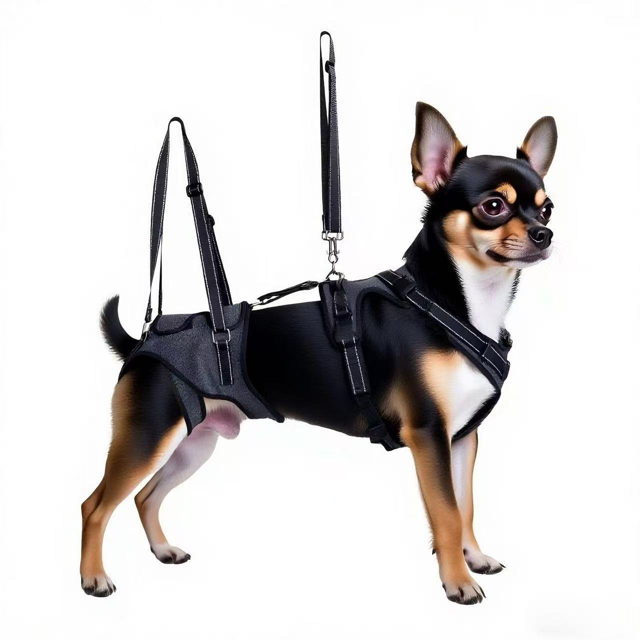 GoldenPaw Senior Dog Mobility Support Harness — Adjustable Rear Support Harness for Older Dogs
