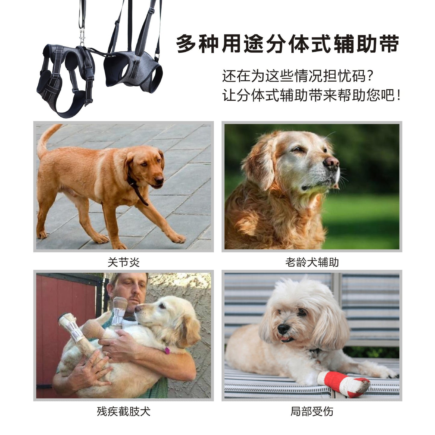 GoldenPaw Senior Dog Mobility Support Harness — Adjustable Rear Support Harness for Older Dogs